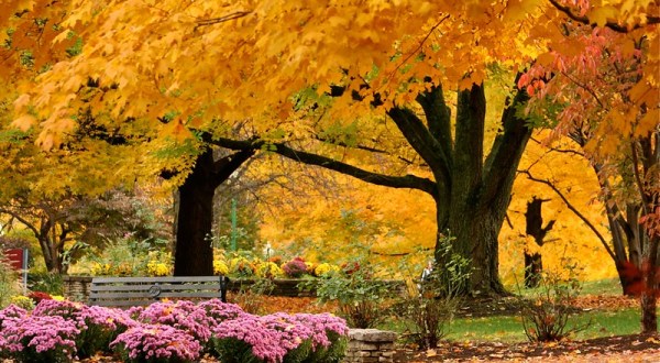 When And Where To Expect Indiana’s Fall Foliage To Peak This Year