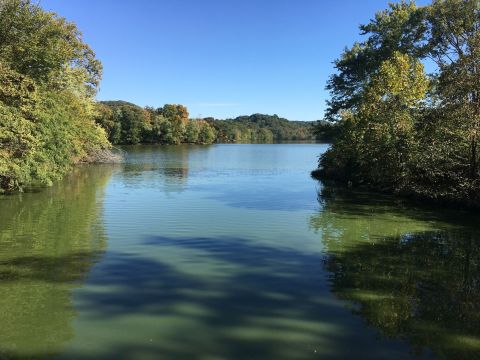 The Radnor Lake Loop In Nashville Takes You From The Woods To The Lake And Back