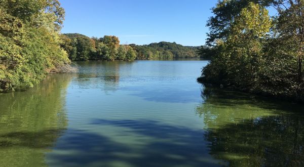 The Radnor Lake Loop In Nashville Takes You From The Woods To The Lake And Back