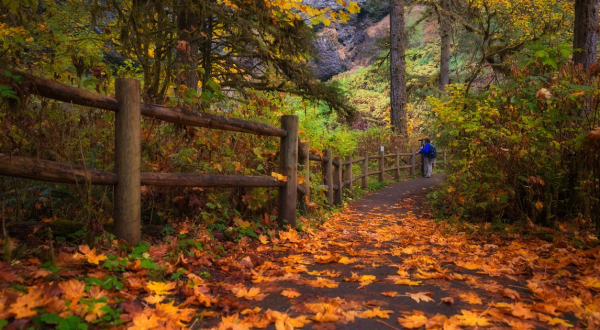 Take A Beautiful Fall Foliage Road Trip To See Oregon Autumn Colors