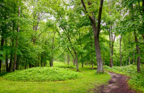 Visit These Fascinating Effigy Mounds In Iowa For An Adventure Into The Past