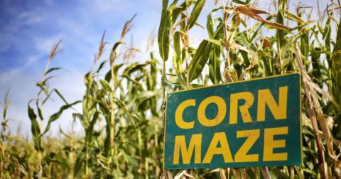 Get Lost In These 7 Awesome Corn Mazes In Kansas This Fall
