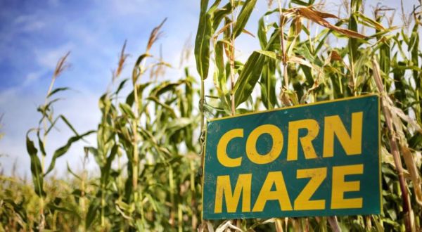 Get Lost In These 7 Awesome Corn Mazes In Kansas This Fall