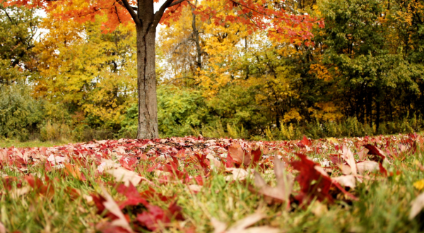 Take This Gorgeous Fall Foliage Road Trip To See Iowa Like Never Before
