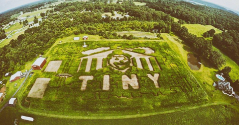 Get Lost In These 9 Awesome Corn Mazes In Kentucky This Fall