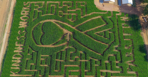 Get Lost In These 8 Awesome Corn Mazes In Georgia This Fall