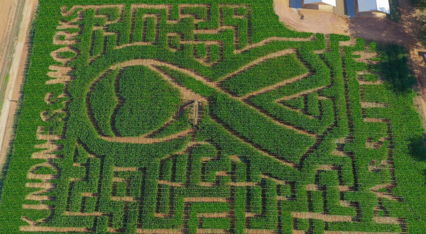 Get Lost In These 8 Awesome Corn Mazes In Georgia This Fall