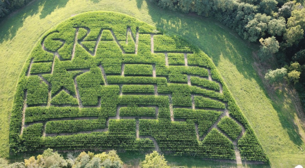 Get Lost In These 8 Awesome Corn Mazes Around Cincinnati This Fall