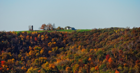Take This Gorgeous Fall Foliage Road Trip To See Wisconsin Like Never Before