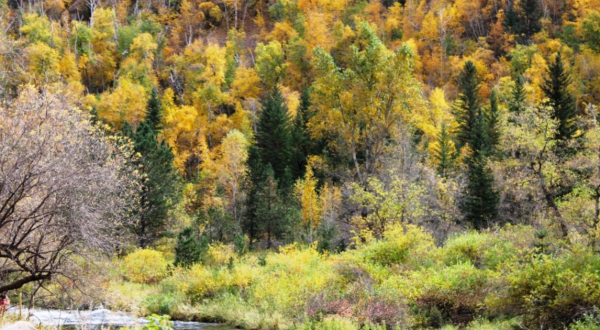 Take This Gorgeous Fall Foliage Road Trip To See South Dakota Like Never Before