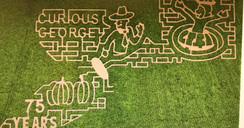 Get Lost In These 7 Awesome Corn Mazes In North Carolina This Fall