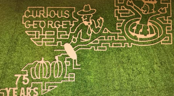 Get Lost In These 7 Awesome Corn Mazes In North Carolina This Fall