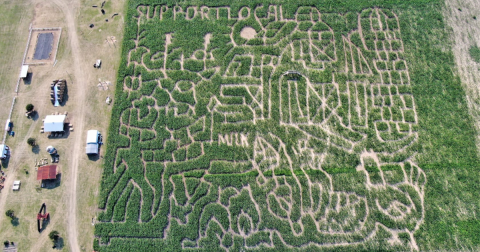 Get Lost In These 8 Awesome Corn Mazes In Texas This Fall