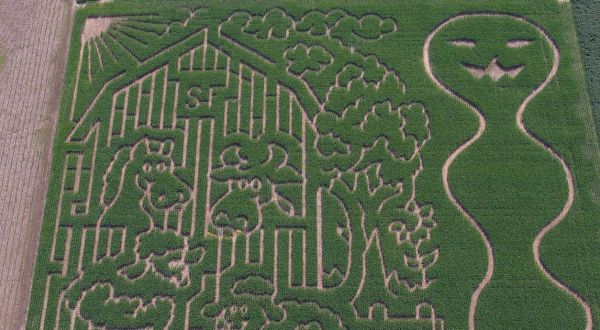 Get Lost In These 7 Awesome Corn Mazes In Mississippi This Fall