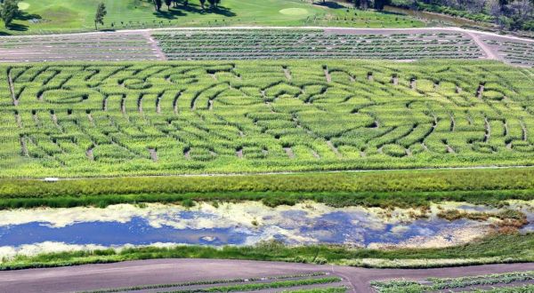 Get Lost In These 4 Awesome Corn Mazes In North Dakota This Fall