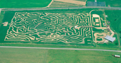 Get Lost In These 9 Awesome Corn Mazes In Pennsylvania This Fall