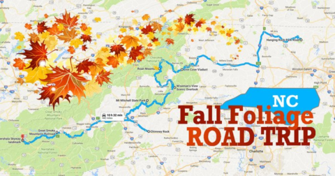 This Dreamy Road Trip Will Take You To The Best Fall Foliage In All Of North Carolina