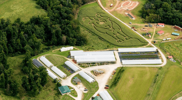 Get Lost In These 5 Awesome Corn Mazes In West Virginia This Fall