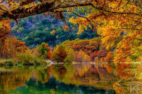 When And Where To Expect Texas' Fall Foliage To Peak This Year