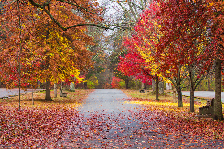 When, Where To See New Jersey Fall Foliage 2021