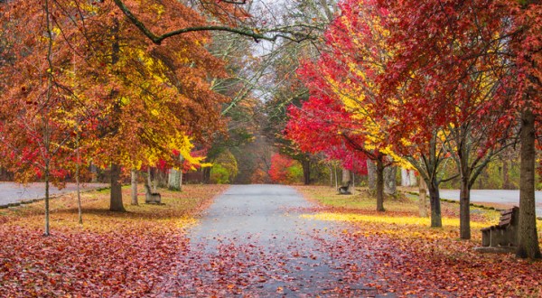 When And Where To Expect New Jersey’s Fall Foliage To Peak This Year