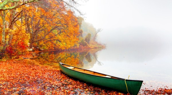 When And Where To Expect Massachusetts’ Fall Foliage To Peak This Year
