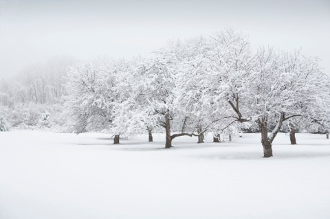 Get Ready To Bundle Up, The Farmers' Almanac is Predicting Freezing Cold Temperatures This Winter In New Jersey