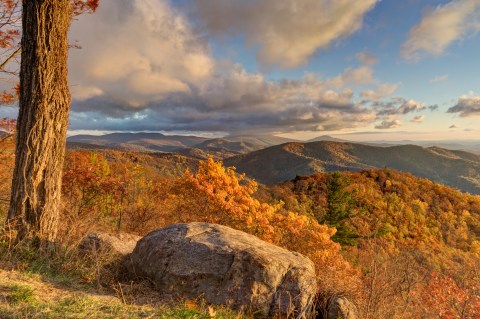 Virginia's Shenandoah National Park Has Been Named A Top National Park To Visit In The Fall