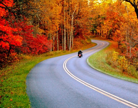 When And Where To Expect Virginia's Fall Foliage To Peak This Year