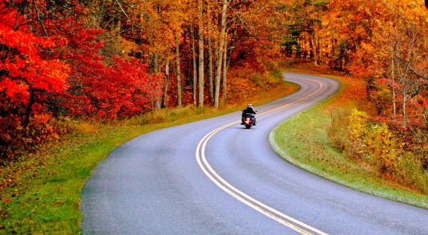 When And Where To Expect Virginia’s Fall Foliage To Peak This Year