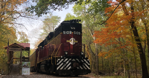 This Fall Foliage Train Ride In Tennessee Is Scenic And Fun For The Whole Family