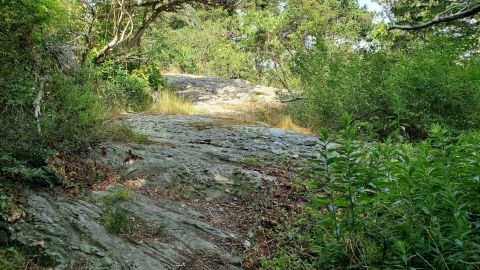 Grey Craig Trail In Rhode Island Is Full Of Awe-Inspiring Rock Formations