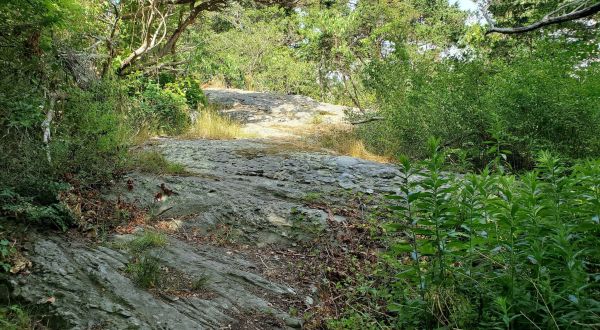 Grey Craig Trail In Rhode Island Is Full Of Awe-Inspiring Rock Formations