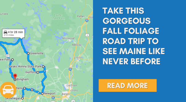 Take This Gorgeous Fall Foliage Road Trip To See Maine Like Never Before