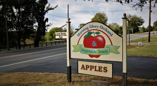 The Cider Slushies From Morning Glory Orchard In Tennessee Are Very Refreshing