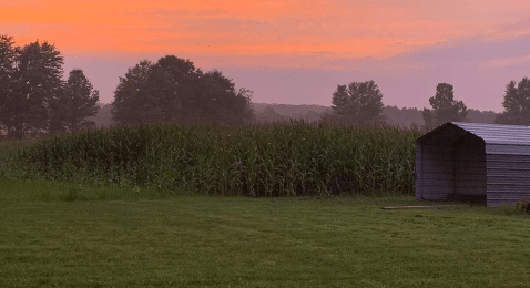 Sip Wine As You Make Your Way Through This Meandering Ohio Corn Maze