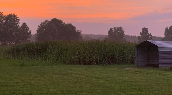 Sip Wine As You Make Your Way Through This Meandering Ohio Corn Maze