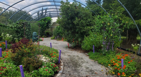 The Butterfly House In Virginia That’s The Perfect Family Destination