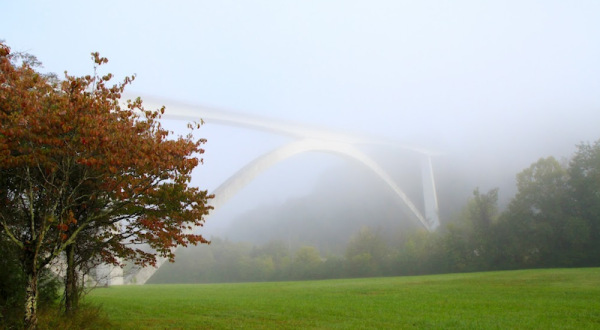 The Remarkable Bridge Near Nashville That Everyone Should Visit At Least Once