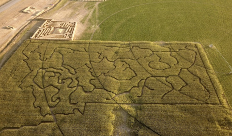 Montana's Favorite Pumpkin Patch And Corn Maze Is Officially Open For Fall