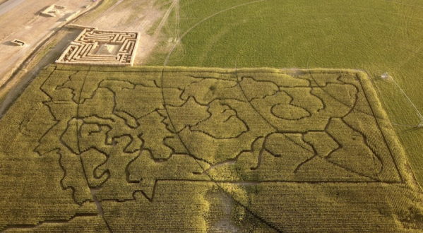 Montana’s Favorite Pumpkin Patch And Corn Maze Is Officially Open For Fall