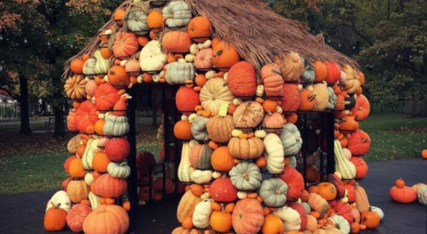 Meander Through Hundreds Of Pumpkins, Gourds, And Fall Flowers At Ohio’s Charming Harvest Blooms Exhibit
