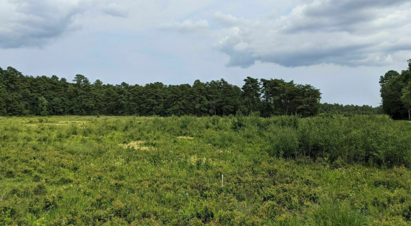 Keep An Eye Out For UFOs And Aliens On A Hike Through One Of New Jersey’s Creepiest Parks