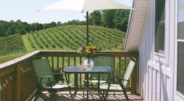 This Stunning Ohio Airbnb Comes With Its Own Private Views Of A Gorgeous Vineyard