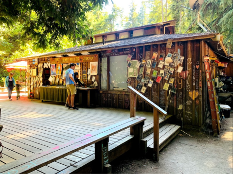 Few People Know About This Little Bookstore Tucked Away In The Redwood Forest In Northern California