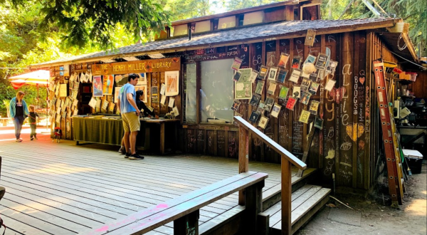 Few People Know About This Little Bookstore Tucked Away In The Redwood Forest In Northern California