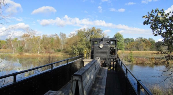 Take This Fall Foliage Train Ride Near Detroit For A One-Of-A-Kind Experience