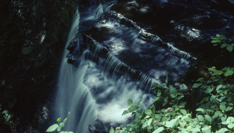 Indiana’s Niagara Falls, Clifty Falls, Is Too Beautiful For Words
