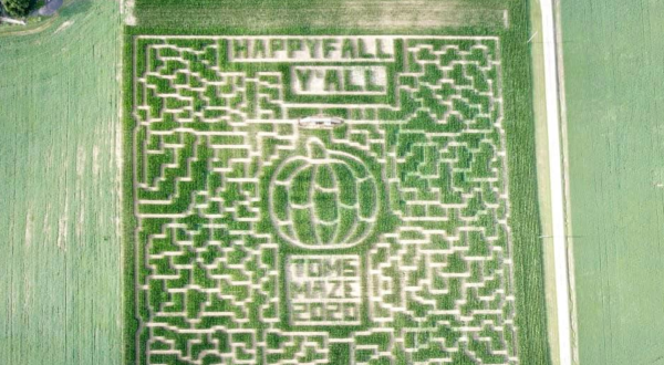 You’ll Love Getting Lost In Tom’s Maze, An Epic And Award-Winning Corn Maze In Ohio