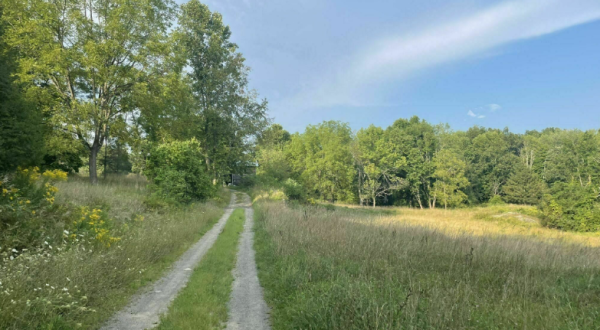 Climb Thousands Of Feet Into The Air On This New Jersey Trail That’s For Experienced Hikers Only